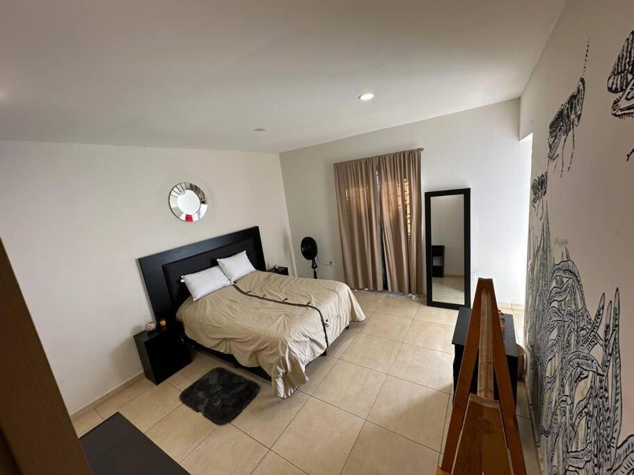 El Chapulin Apartamento Oaxaca Exterior foto